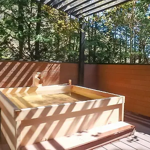 3* Ryokan Livemax Ashinoko
