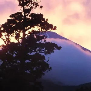 4* Ryokan Hananoyado Fukuya